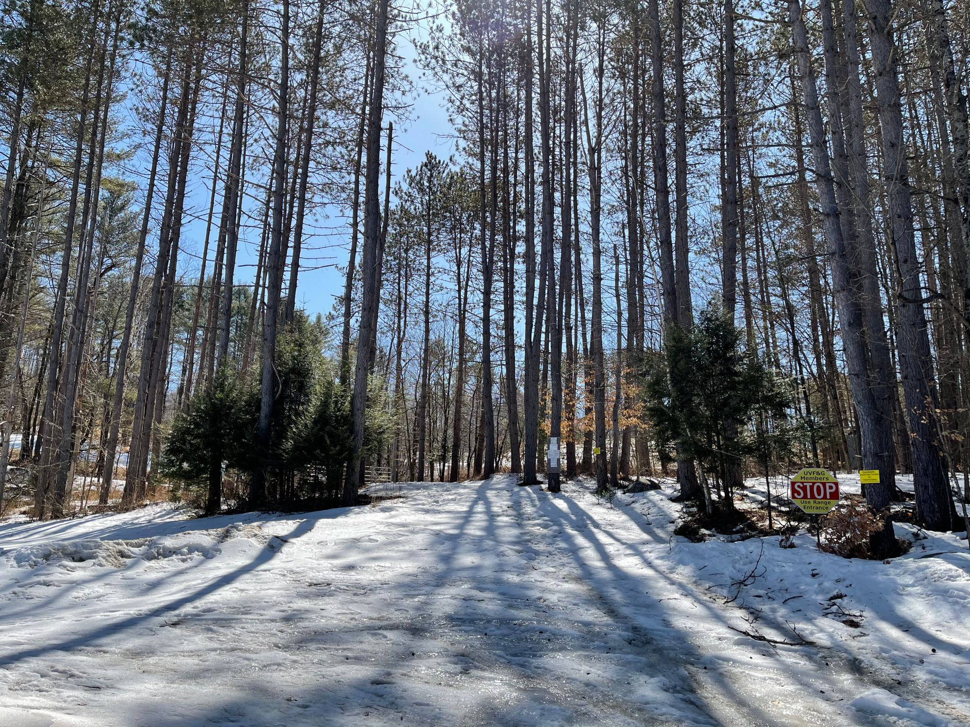 FAA says: no tower light required on Thetford Town Forest