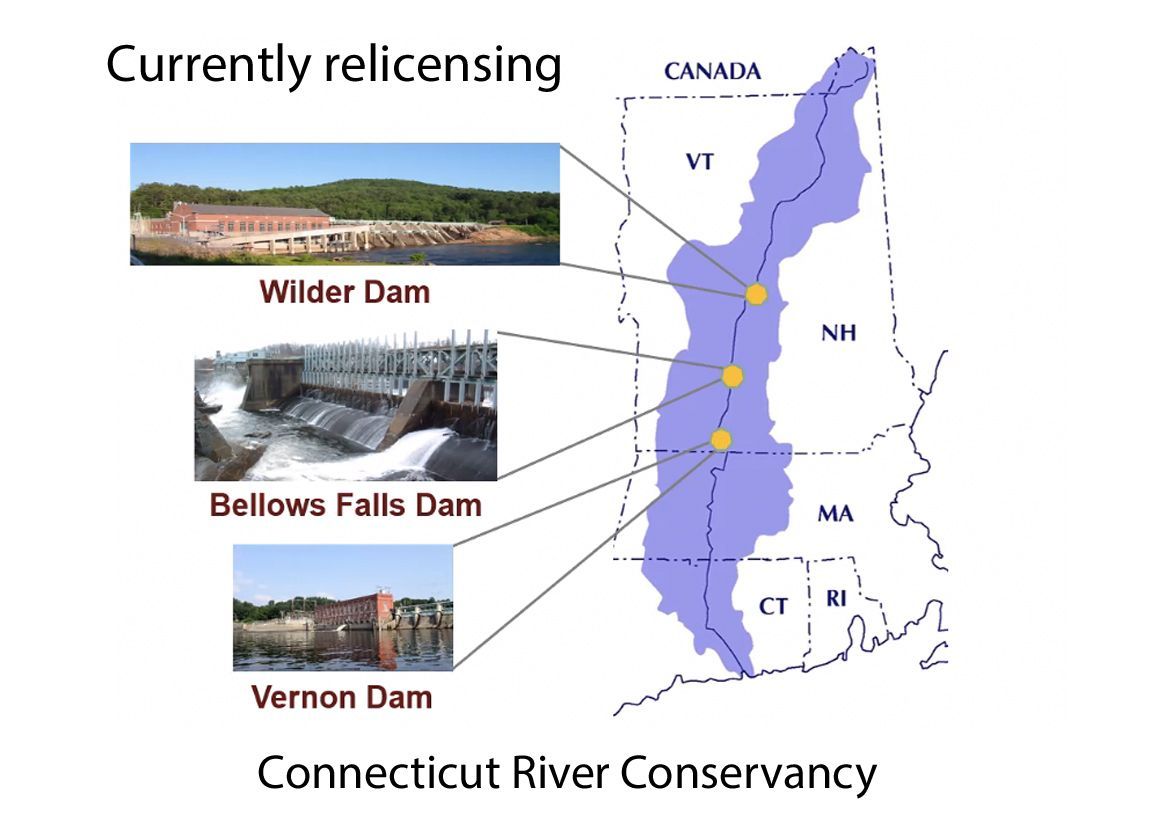 Will Relicensing of Three Hydroelectricity Dams Help With River Bank Collapse and Fish Passage?