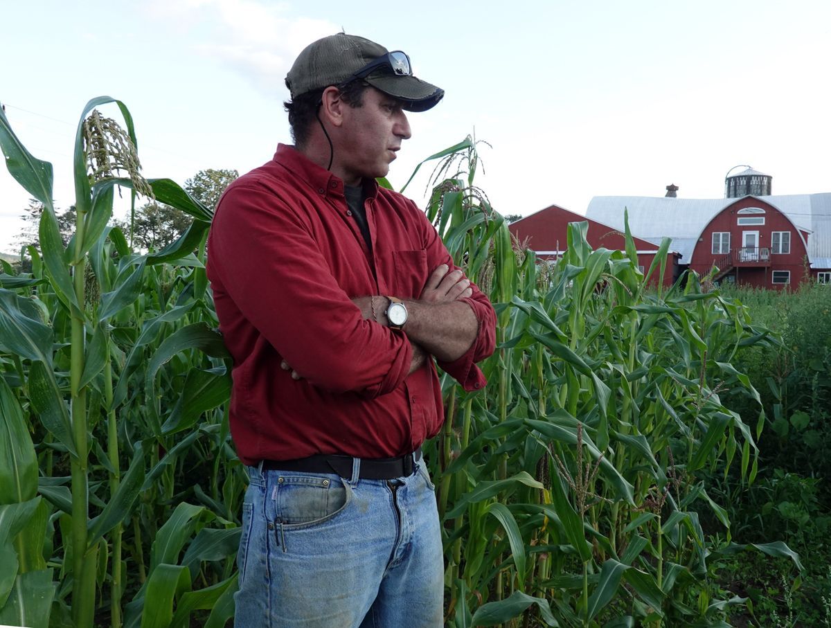 Grain farming, with a twist, returns to the Upper Valley