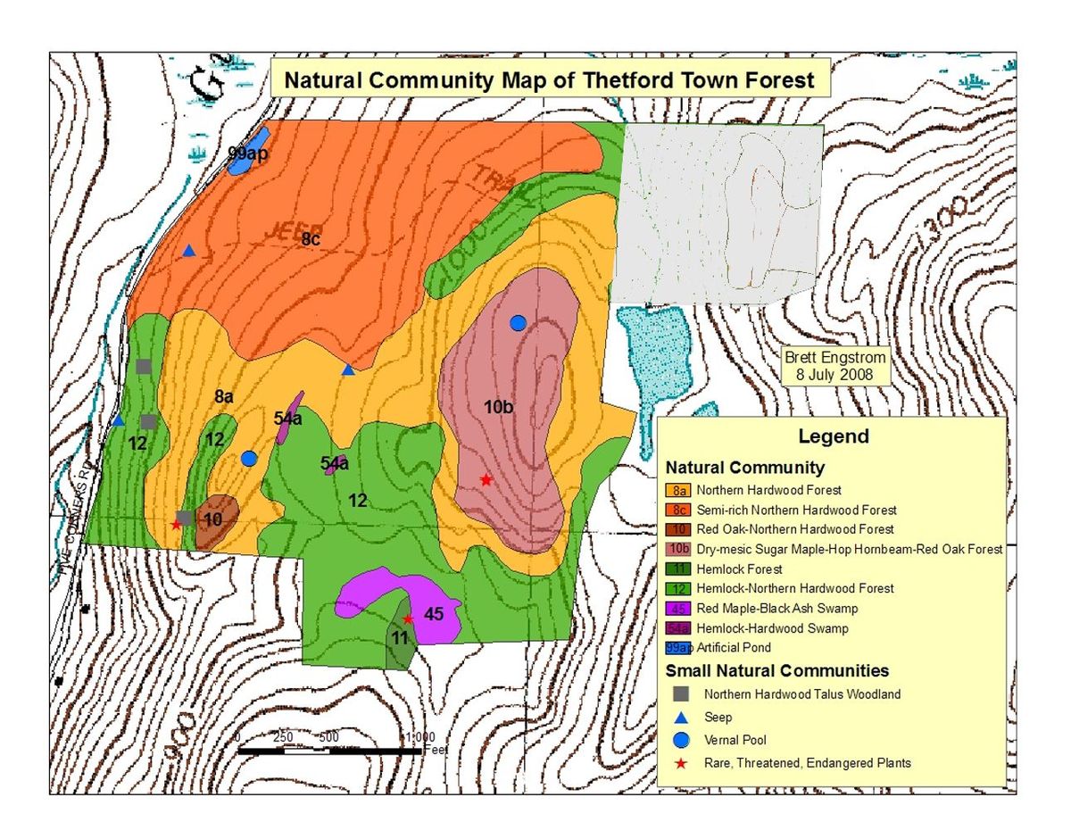 Conservation of Town Forest land is well-deserved