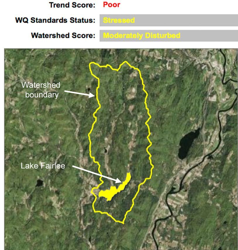 An action plan for Lake Fairlee’s faltering health