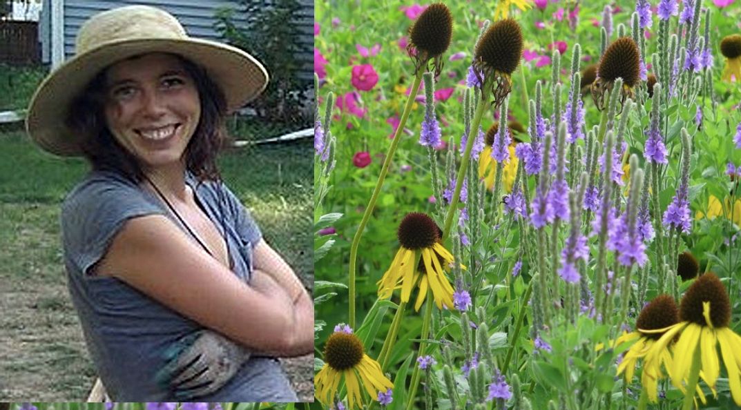 A passion for pollinators and more