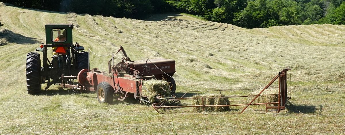 Make hay - square or round - while the sun shines