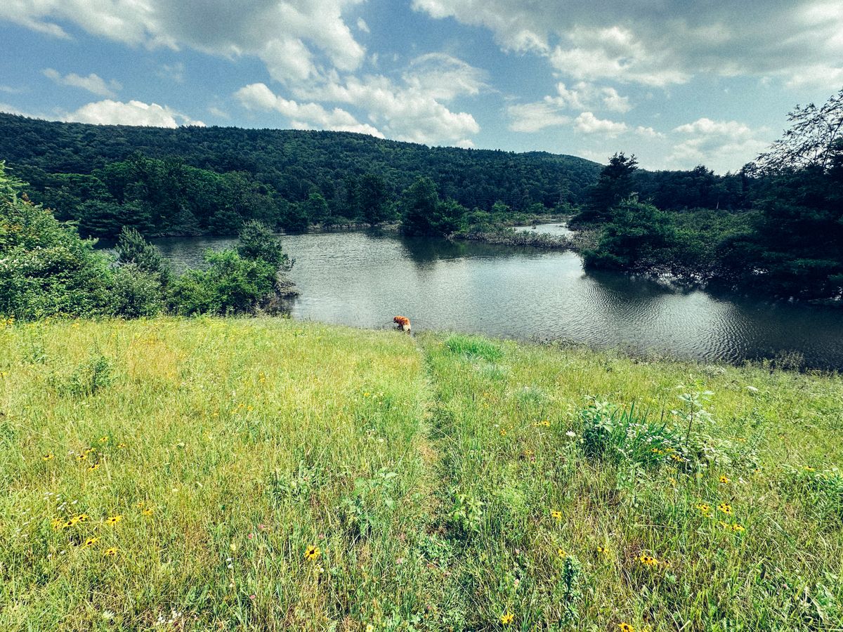 Do you have photos of the flooding?