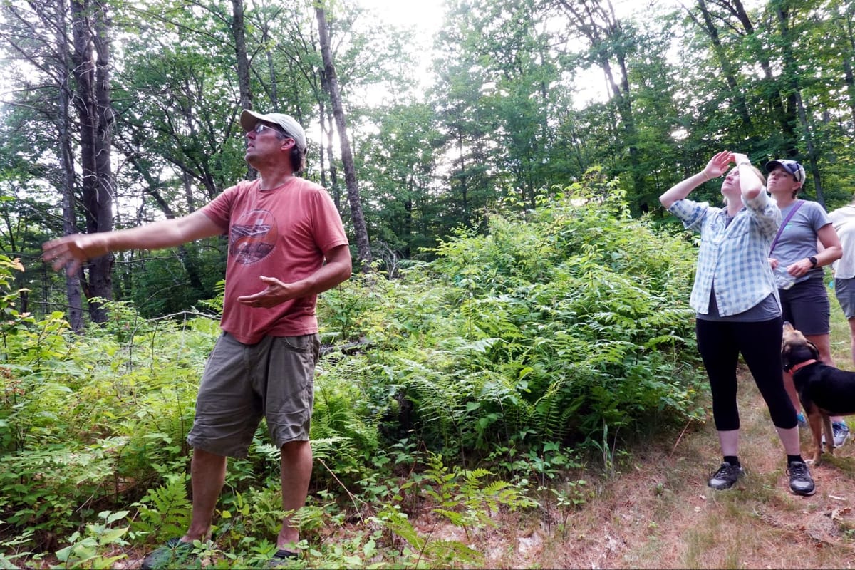 A "Demonstration Forest" in the making — hunters welcome