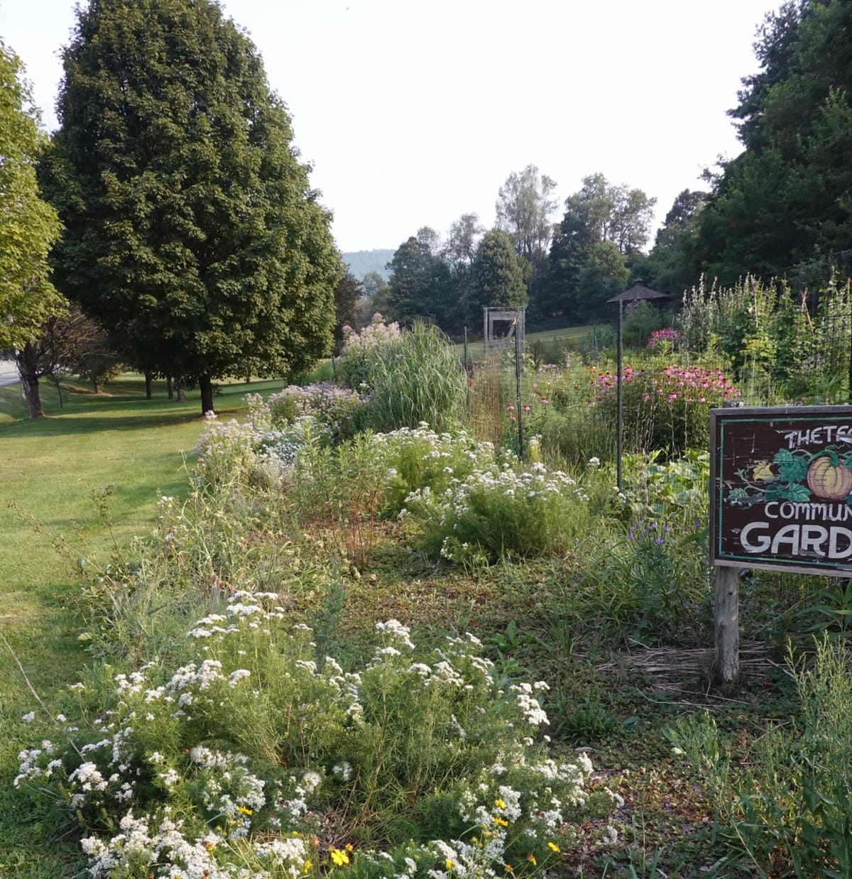 Thetford Center pollinator garden a success — plant it and they will come